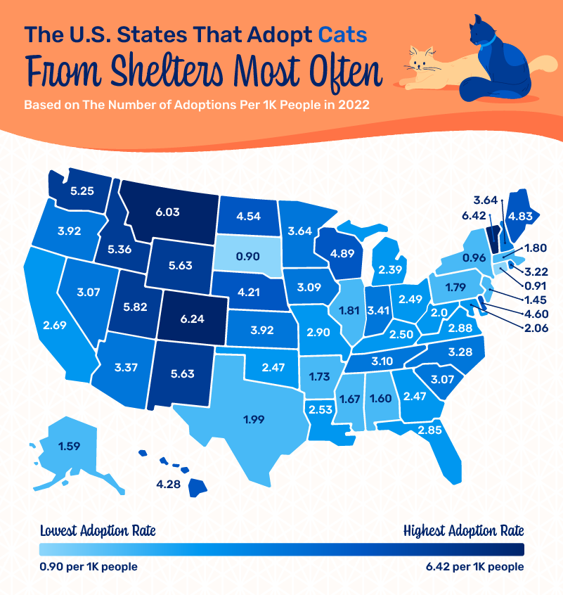 A heatmap showing the states that adopt cats from shelters most often.